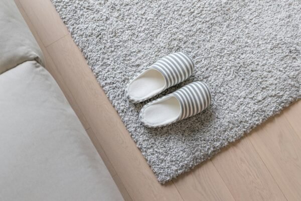 Slipper on the carpet at home